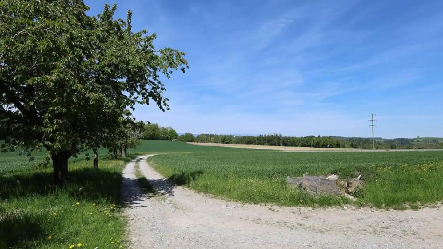 Einfamilienhaus kaufen - 1746 Prez-vers-Noréaz - Foto 4