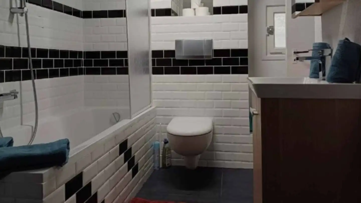 Appartement meublé à louer - Rue Des Chaudronniers 8, 1204 Genève - Photo 3