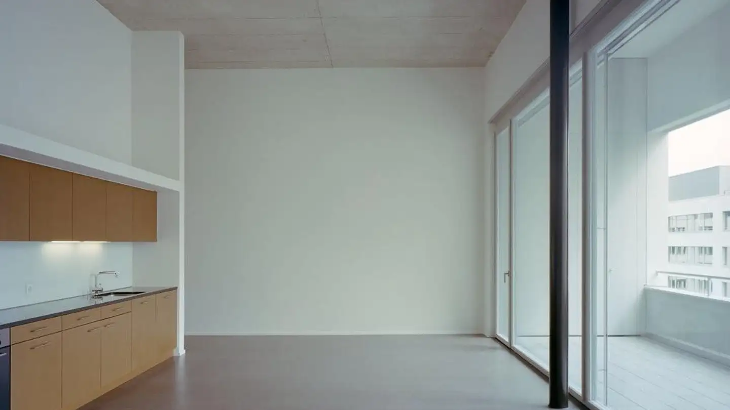 Loft in affitto - Else-Züblin-Strasse 90, 8404 Winterthur - Photo 3