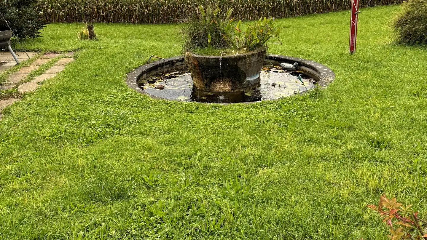 Appartamento in affitto - Rooswis 10, 9548 Matzingen - Photo 3