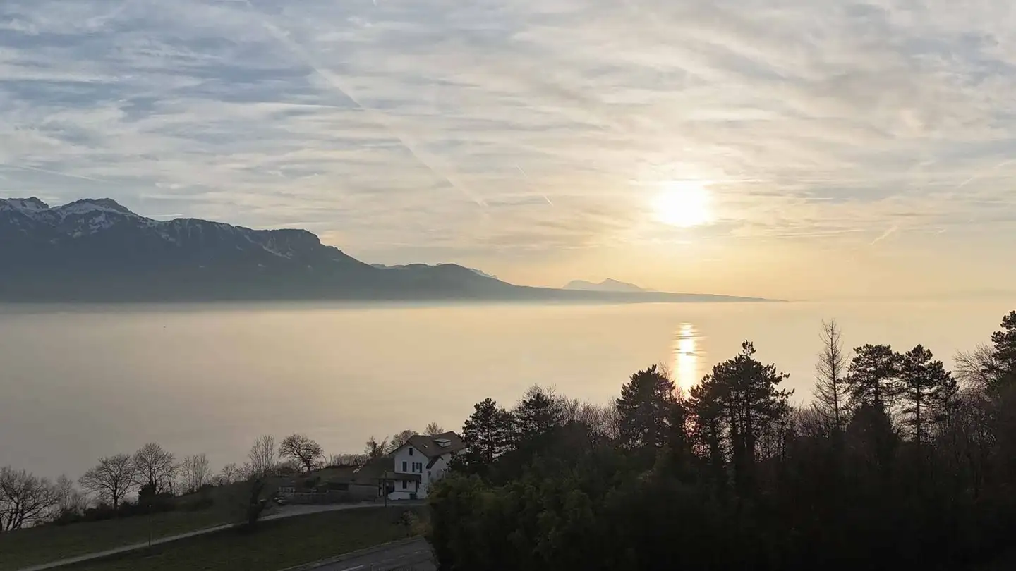 Maisonette kaufen - 1071 Chexbres - Foto 3