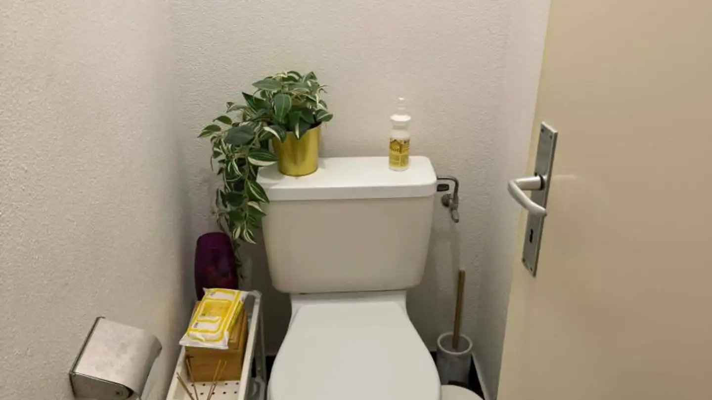 Wohnung mieten - Rue De La Prulay 54, 1217 Meyrin - Foto 2