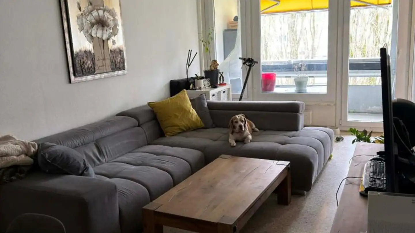 Wohnung mieten - Rue De La Prulay 54, 1217 Meyrin - Foto 4