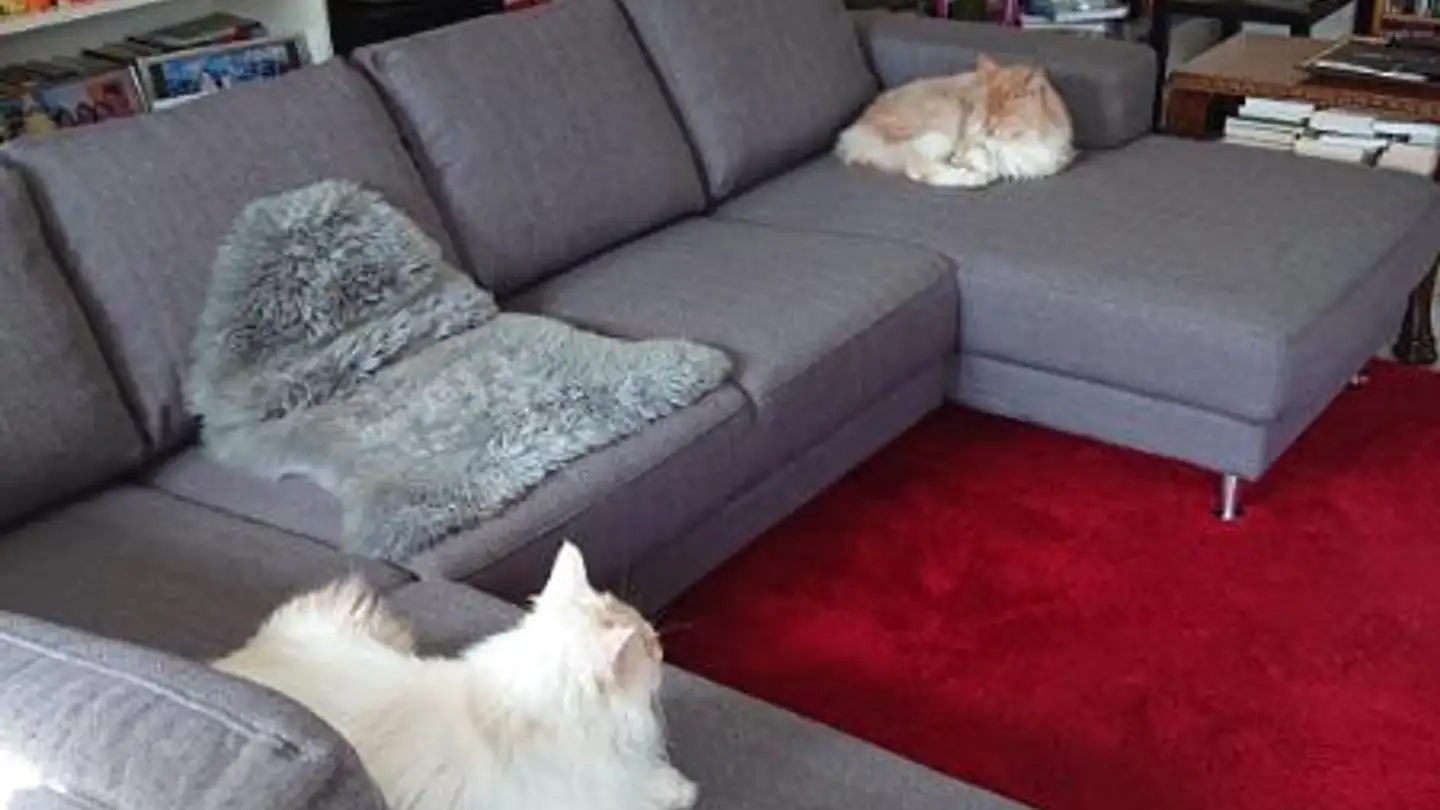 Appartamento in affitto - Püntstrasse 23, 8132 Egg b. Zürich