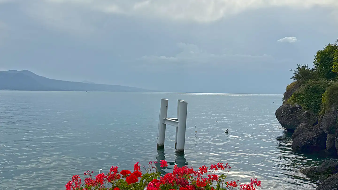 Wohnung kaufen - 1071 Rivaz