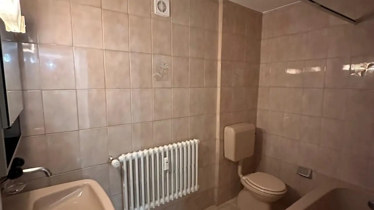 Appartement à louer - Kleine Allmend 3, 4450 Sissach - Photo 2