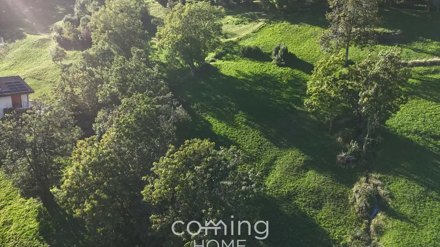 Constructible plot for sale - 3903 Mund - Photo 3