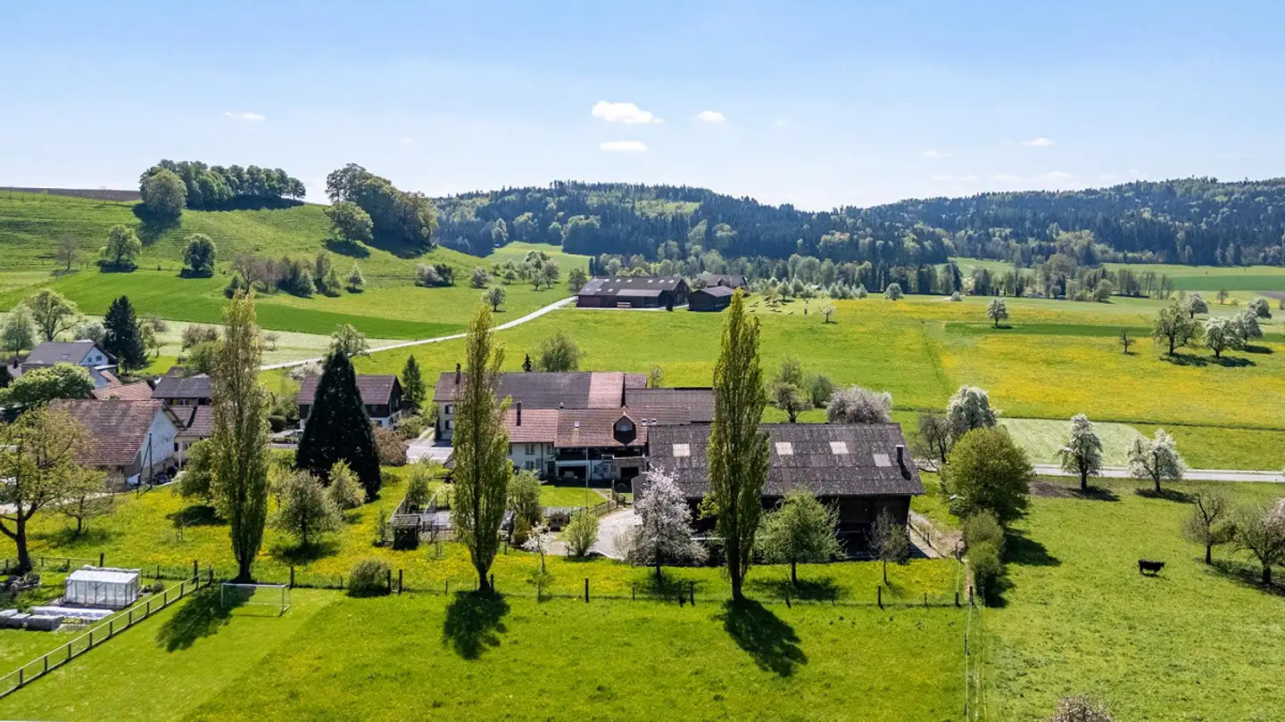 Agricultural business for sale - Frauenfelderstrasse 3, 8512 Lustdorf - Photo 2