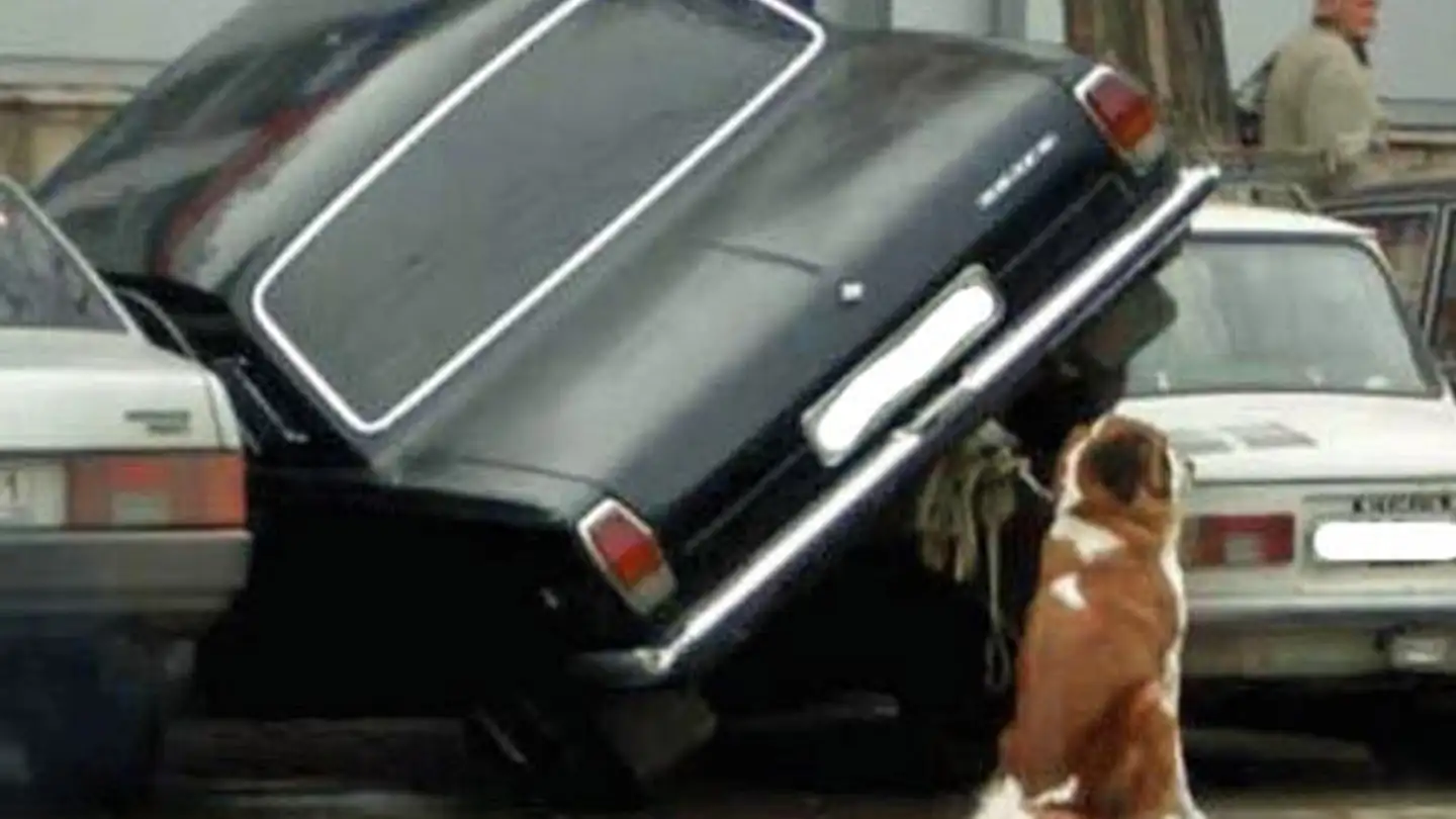 Place de parking souterraine à louer - Sonnefäld 22, 8197 Rafz