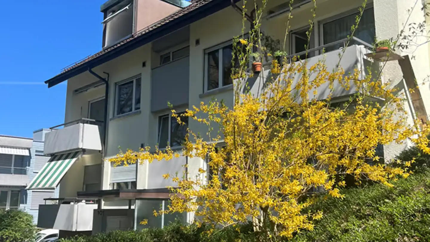Appartement à louer - Hangweg 101, 3095 Spiegel b. Bern