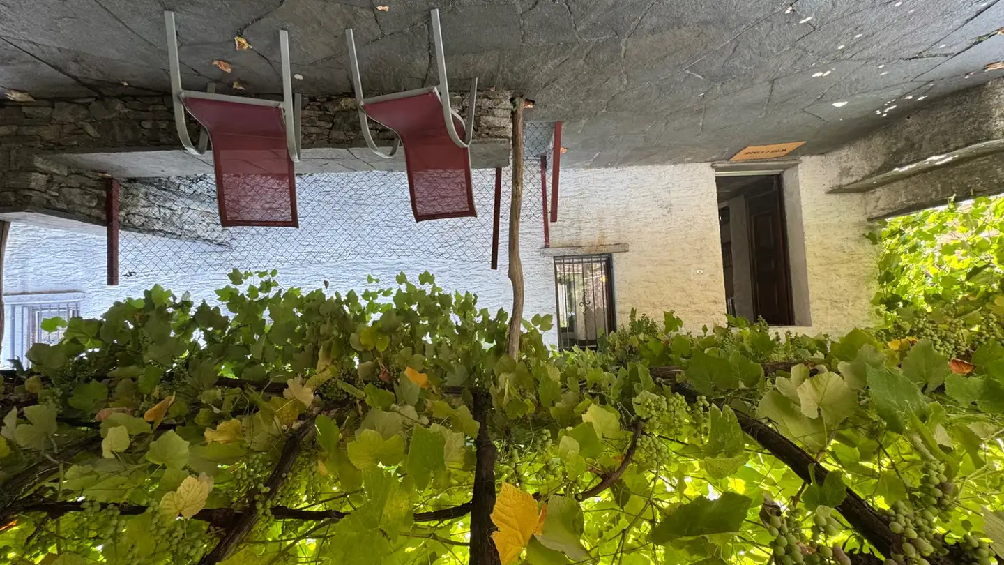 Casa singola in affitto - Via Collina 114, 6595 Riazzino - Foto 3