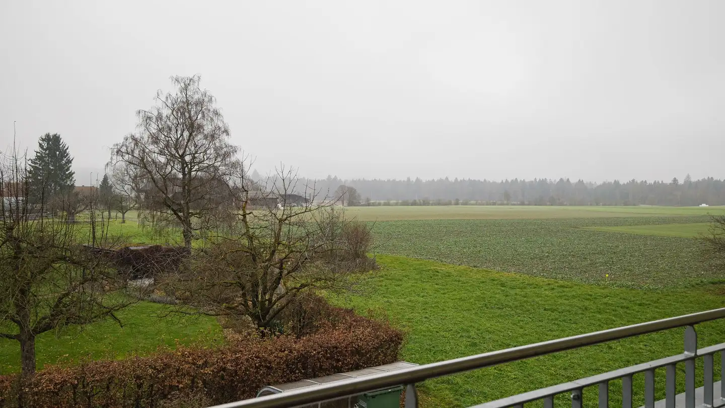 Penthouse for sale - Riedgasse 8a, 3373 Heimenhausen - Photo 4