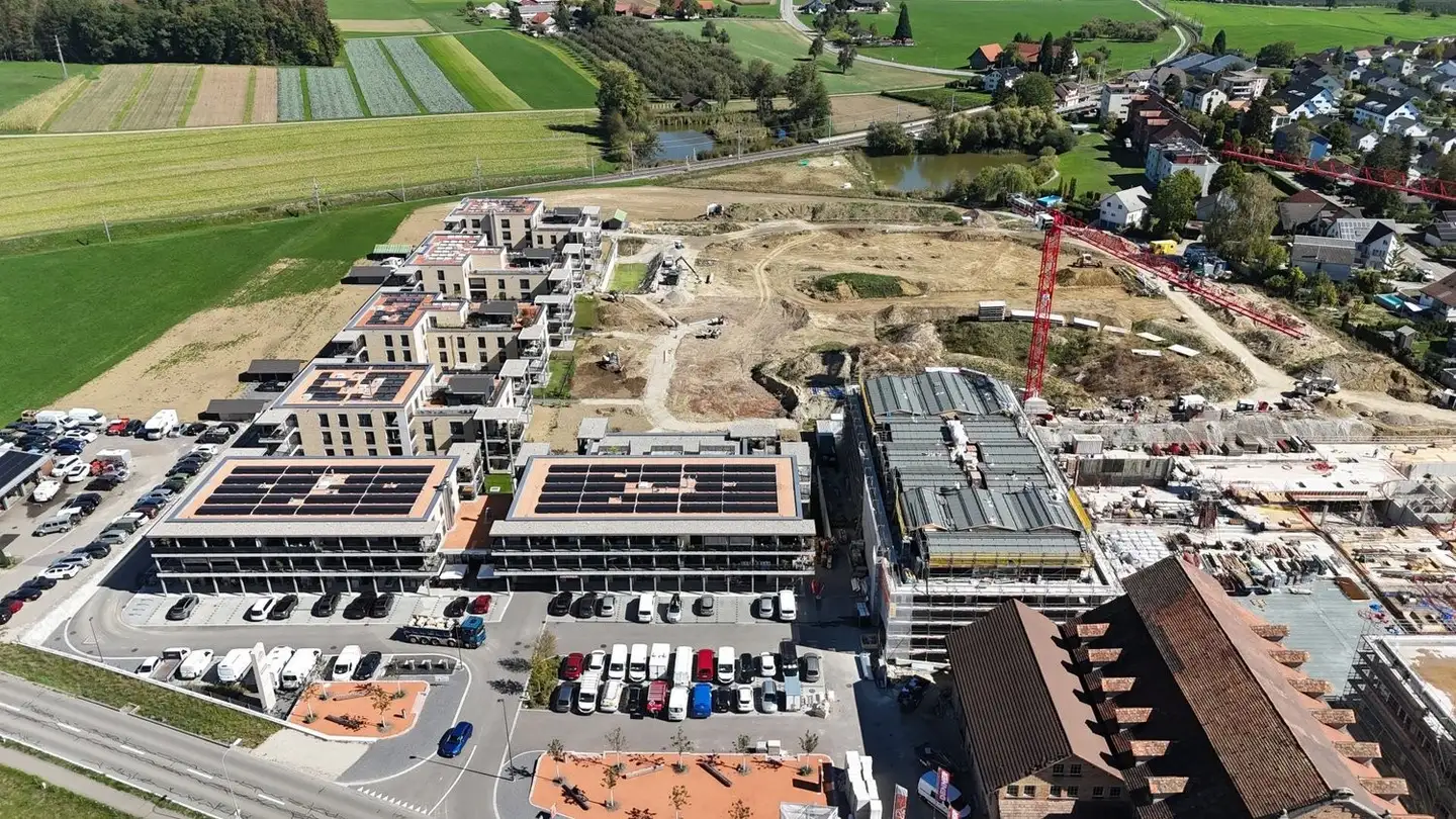 Commercial à louer - Hauptstrasse 72, 8572 Berg TG - Photo 2