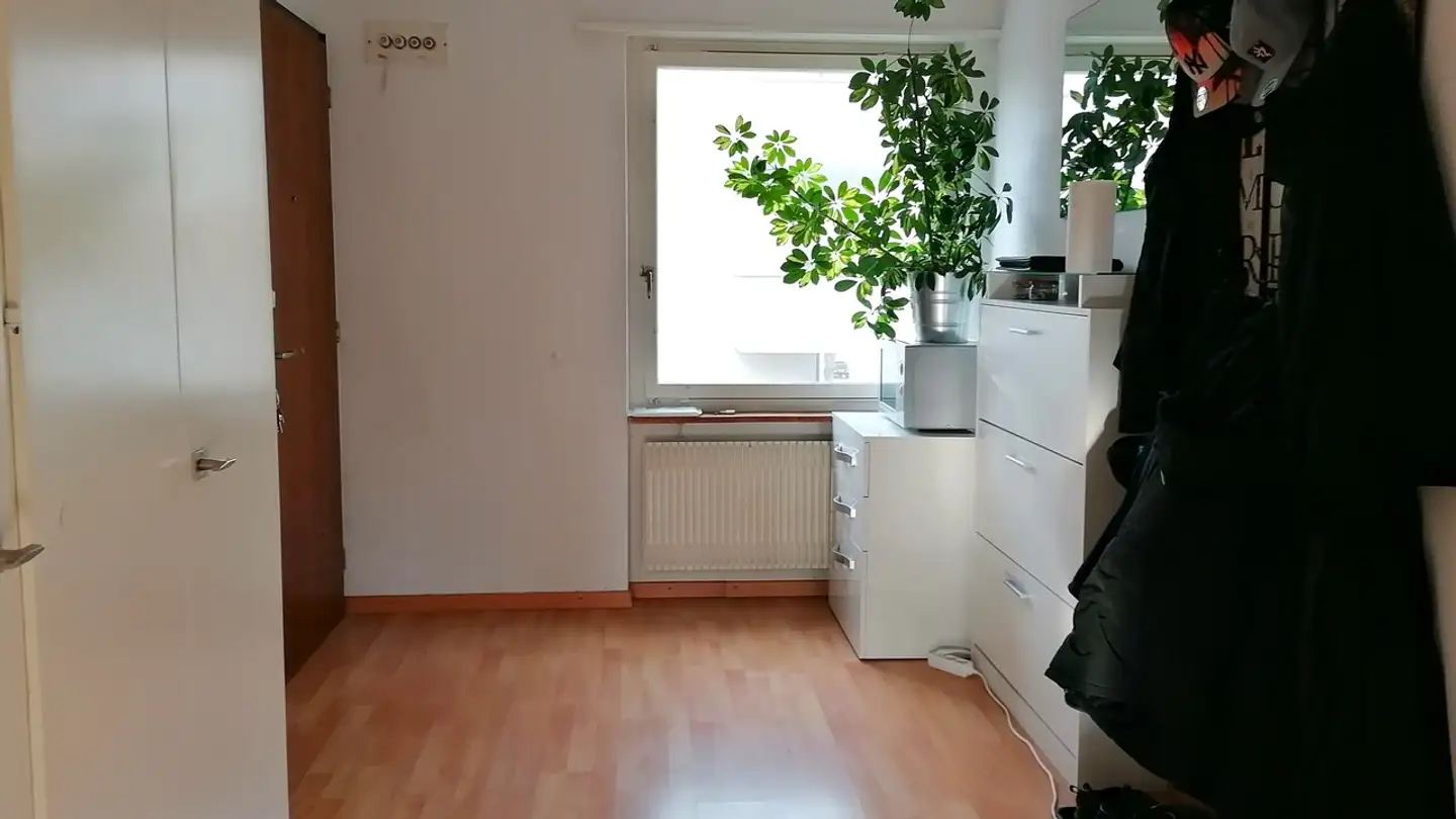 Appartement à louer - Schaffhauserstrasse, 8212 Neuhausen am Rheinfall - Photo 4