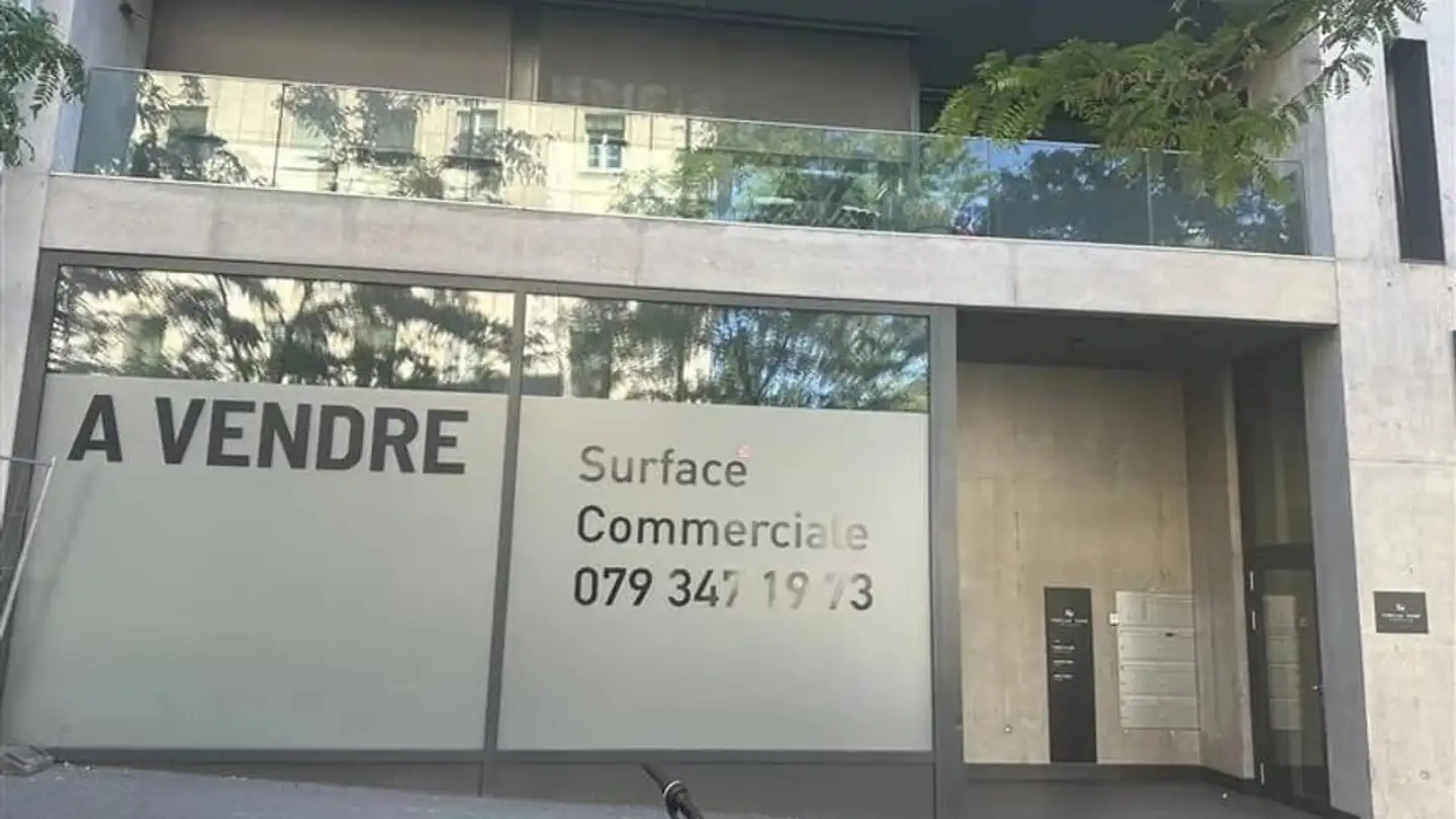 Gewerbe kaufen - 1950 Sion