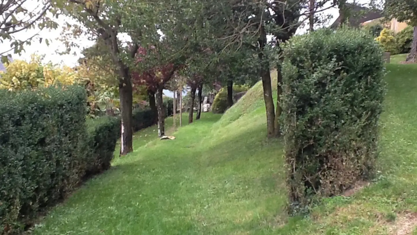 Appartamento in affitto - Via Ugo Canonica 11, 6958 Bidogno