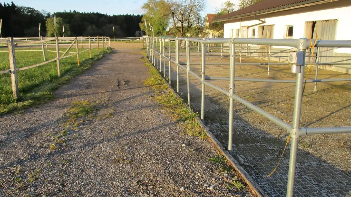 Einfamilienhaus mieten - Batlehausen 1B, 8514 Amlikon-Bissegg - Foto 3