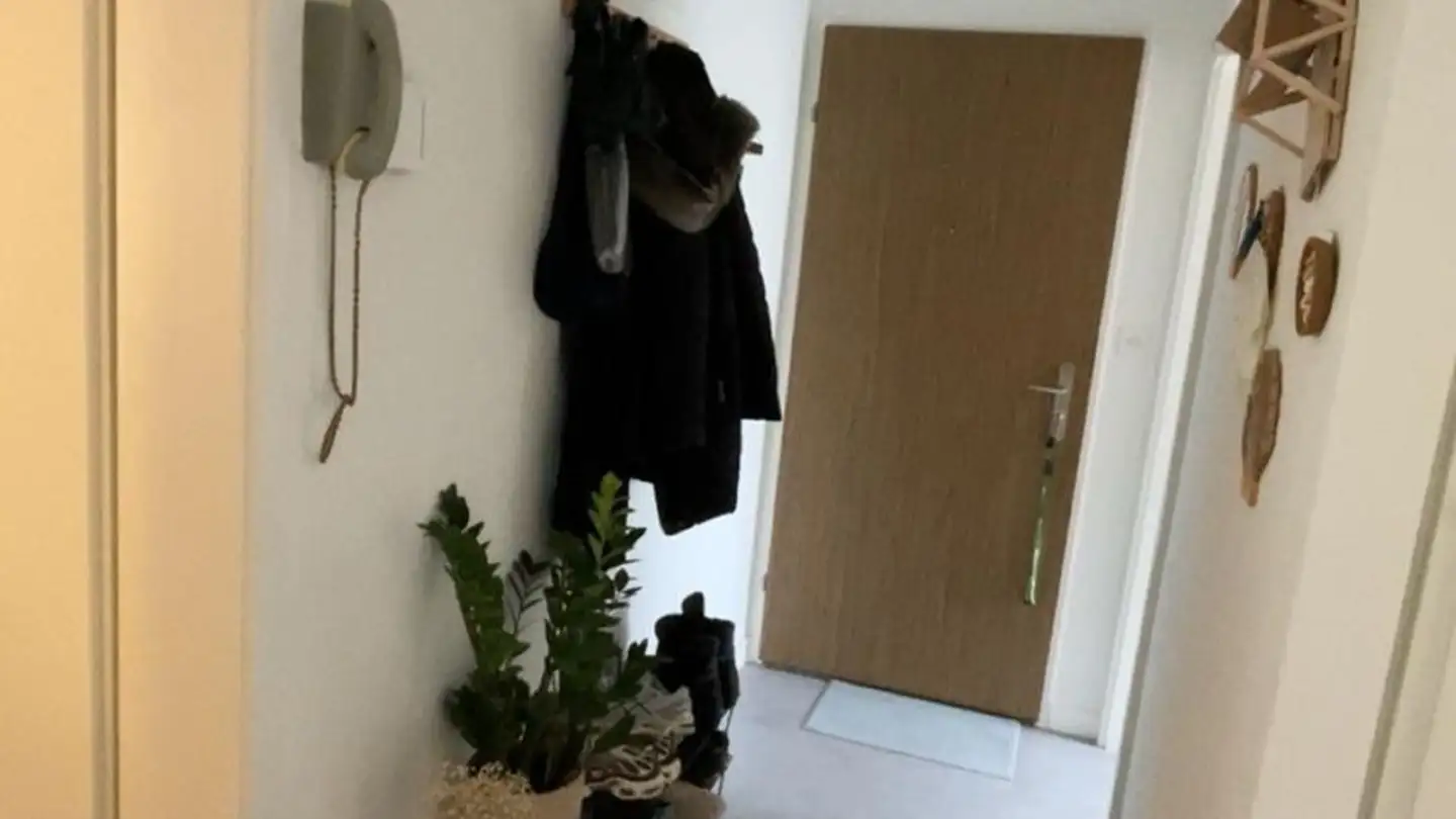 Appartement à louer - 8051 Zürich