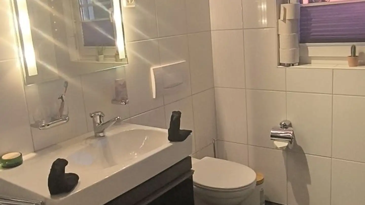 Stanza singola in affitto - Rairing 67, 8108 Dällikon - Foto 2