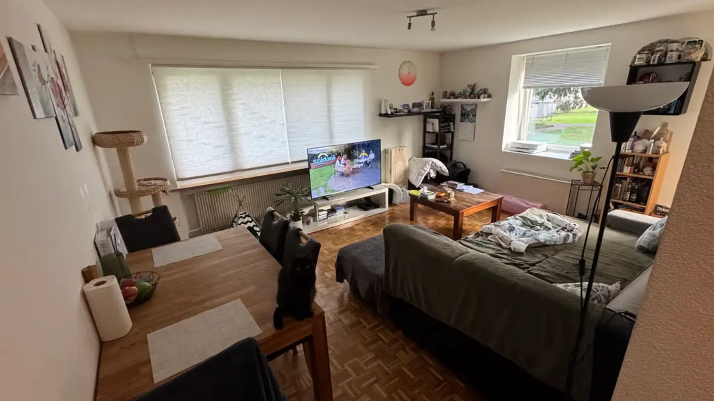 Wohnung mieten - Neumattstrasse 6, 3700 Spiez - Foto 4