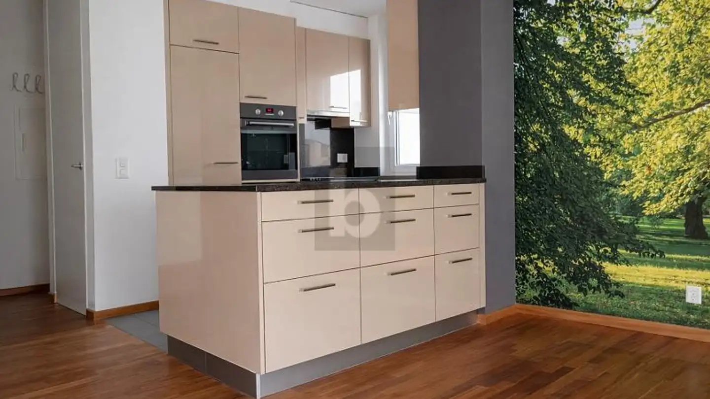 Penthouse for rent - 1950 Sion - Photo 3