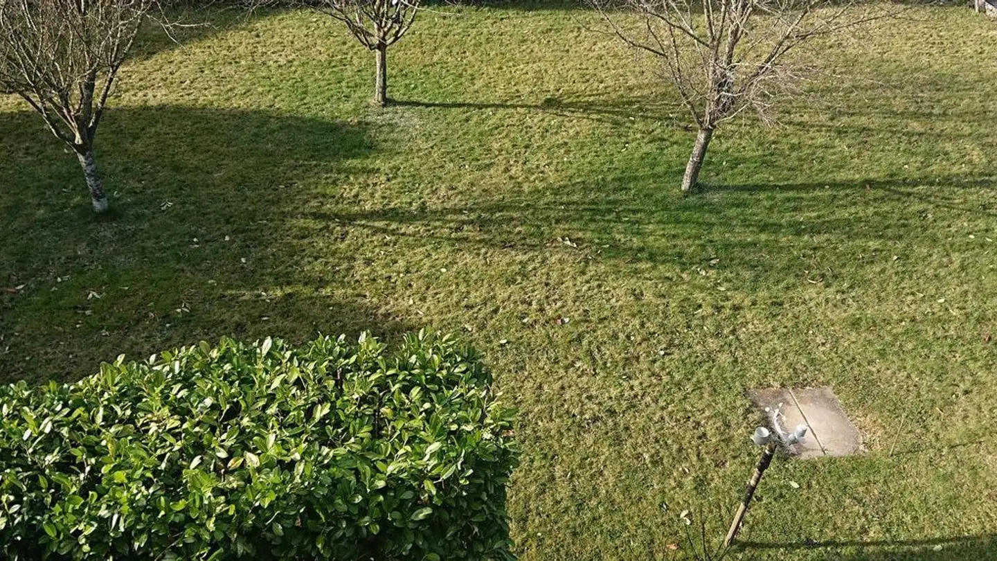 Semi-detached house for rent - Obersumpfstrasse 34, 5745 Safenwil - Photo 4