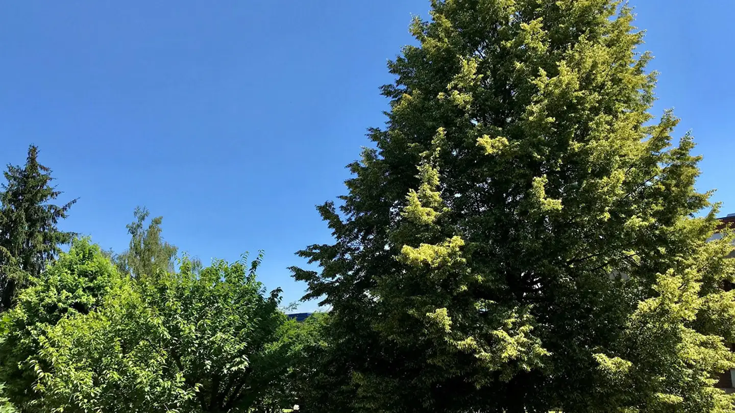 Appartamento in affitto - Zehntenfreistrasse 11, 4103 Bottmingen - Photo 3