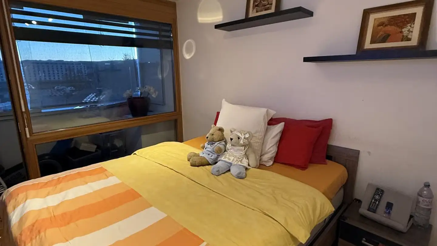 Appartamento in affitto - 1218 Le Grand-Saconnex - Foto 3