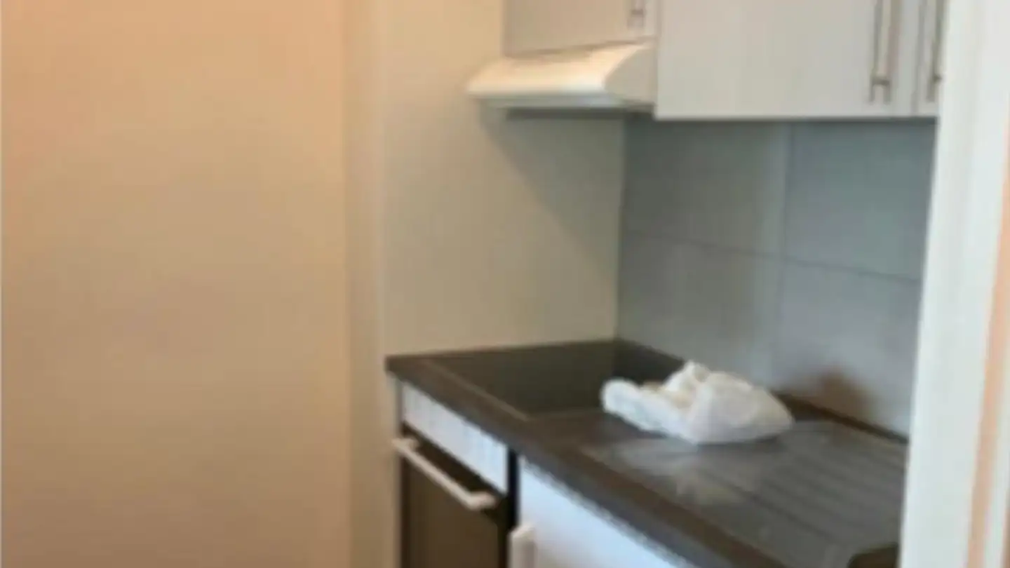 Appartamento in affitto - 1213 Petit-Lancy - Foto 3