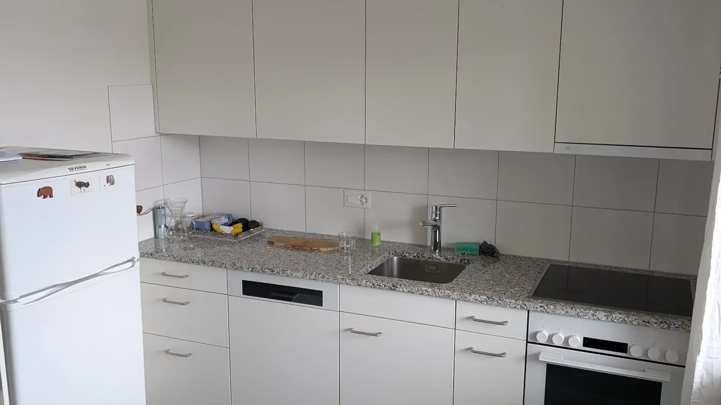 Appartamento in affitto - Vorderi Siten, 8816 Hirzel - Foto 4