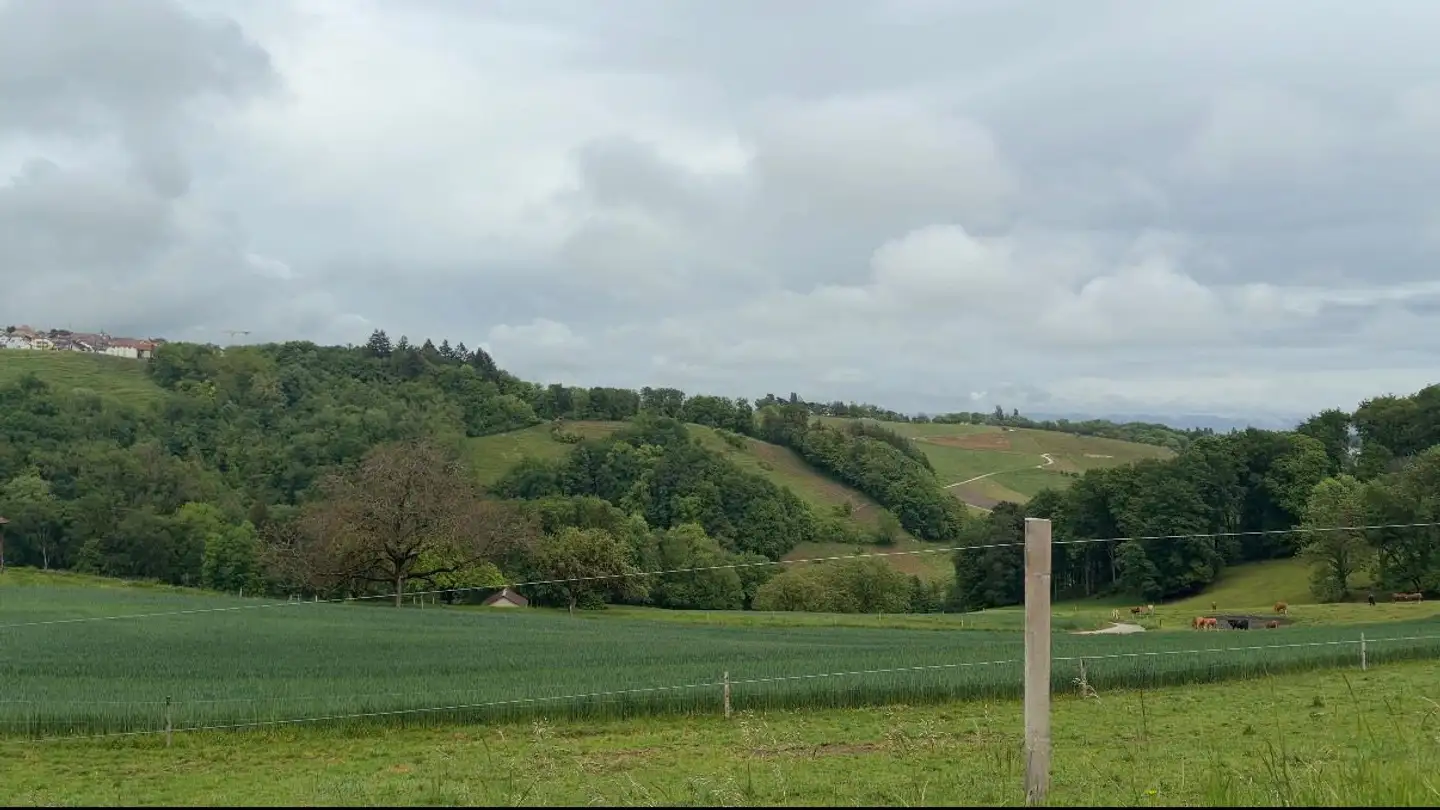 Industrial building plot for sale - 1170 Aubonne