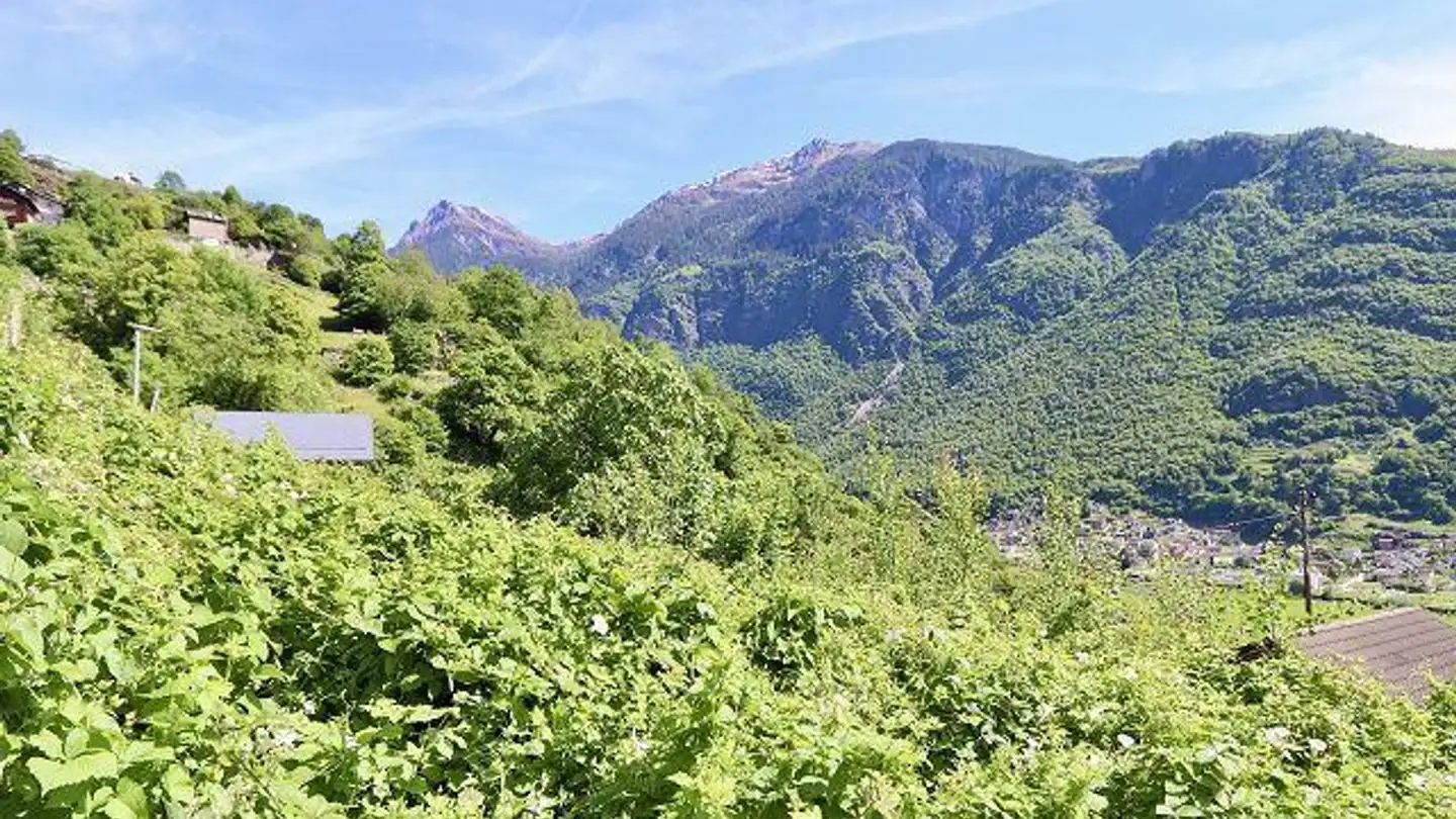 Constructible plot for sale - 6714 Semione