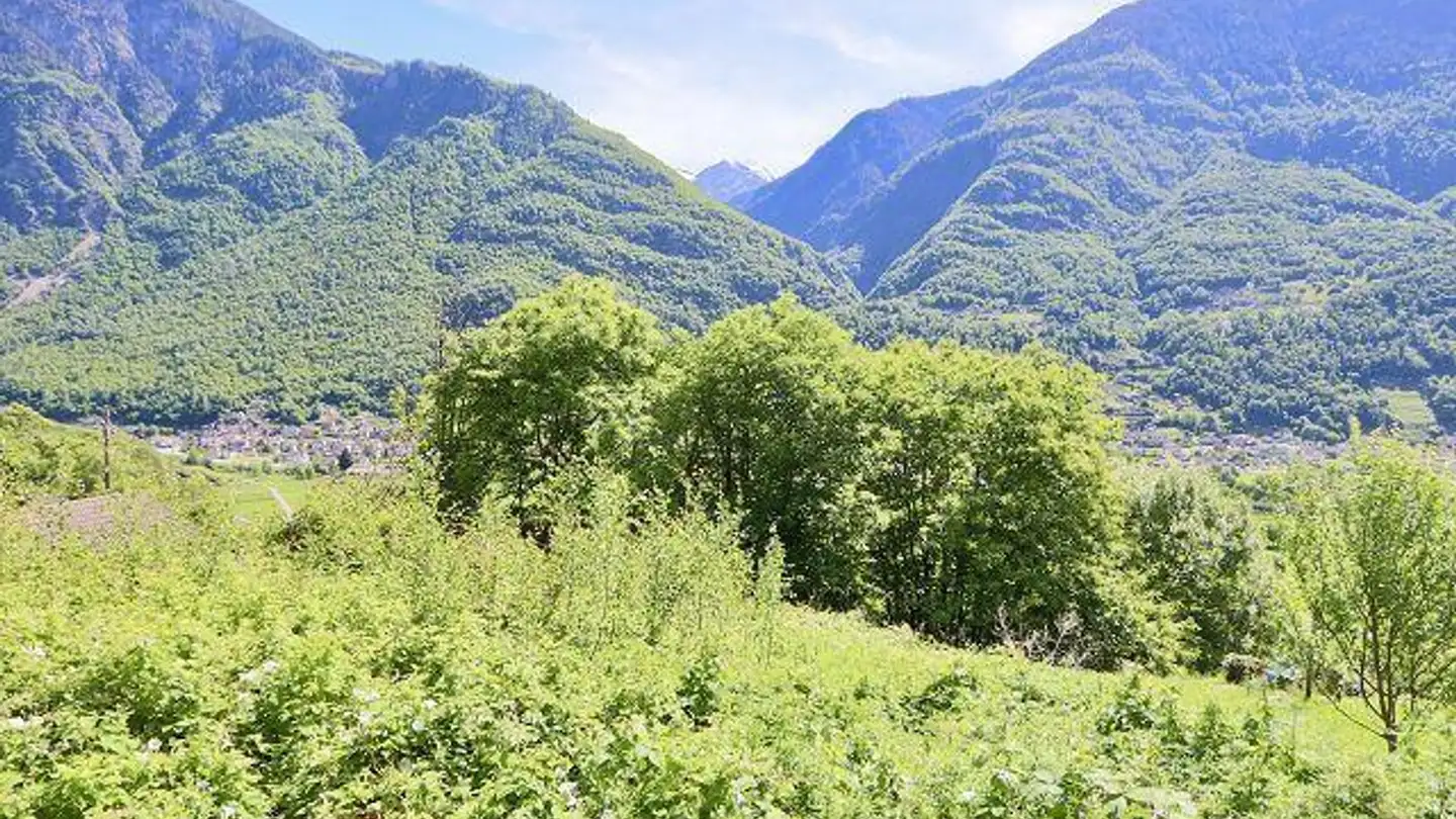 Constructible plot for sale - 6714 Semione - Photo 2