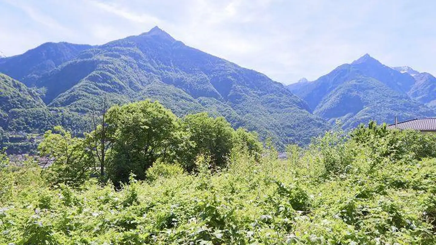 Constructible plot for sale - 6714 Semione - Photo 3