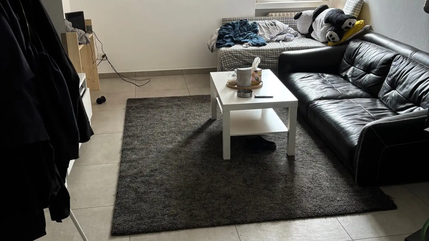 Appartamento in affitto - Vicolo Vecchio 6, 6900 Massagno - Foto 4