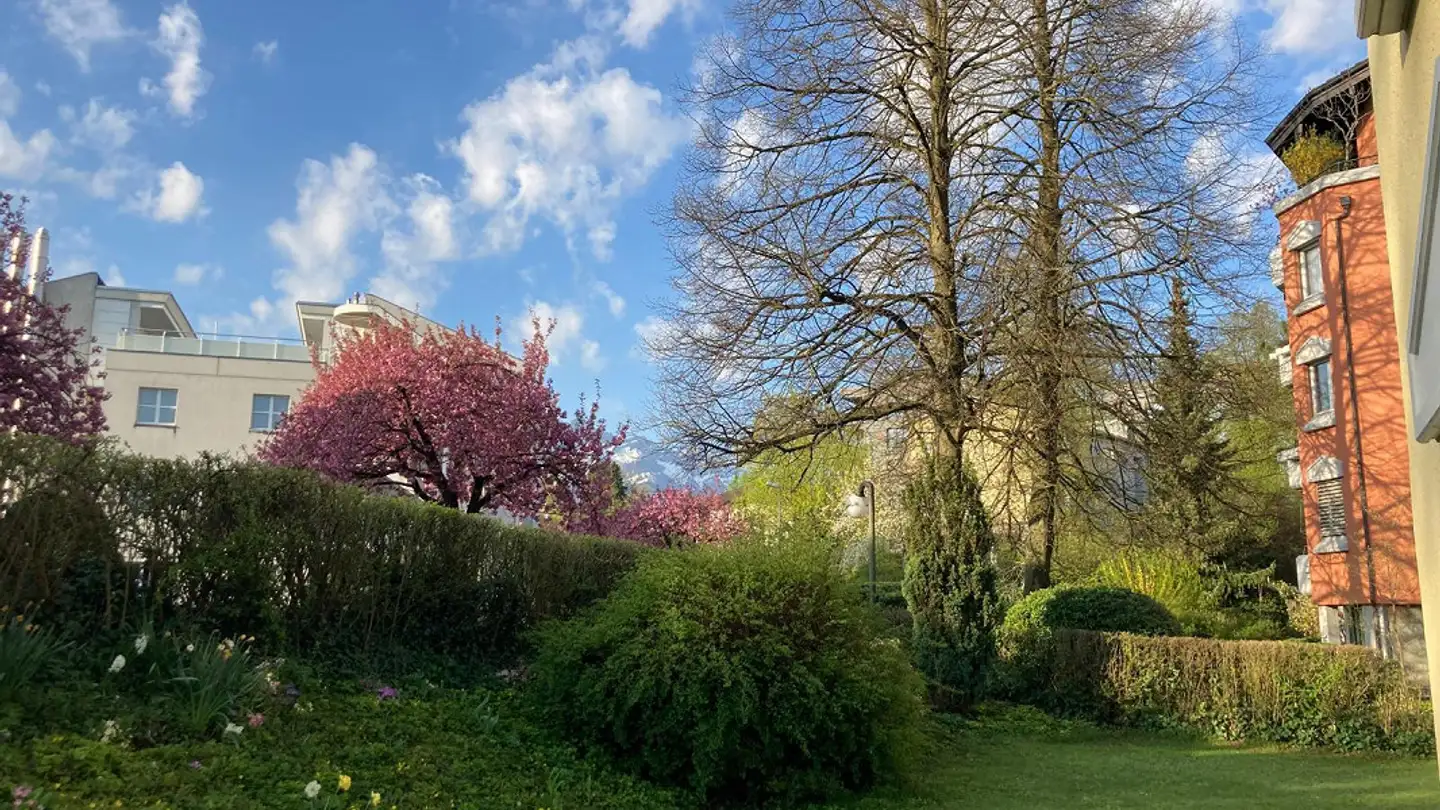 Apartment for rent - Rosenbergstrasse, 6004 Luzern - Photo 2