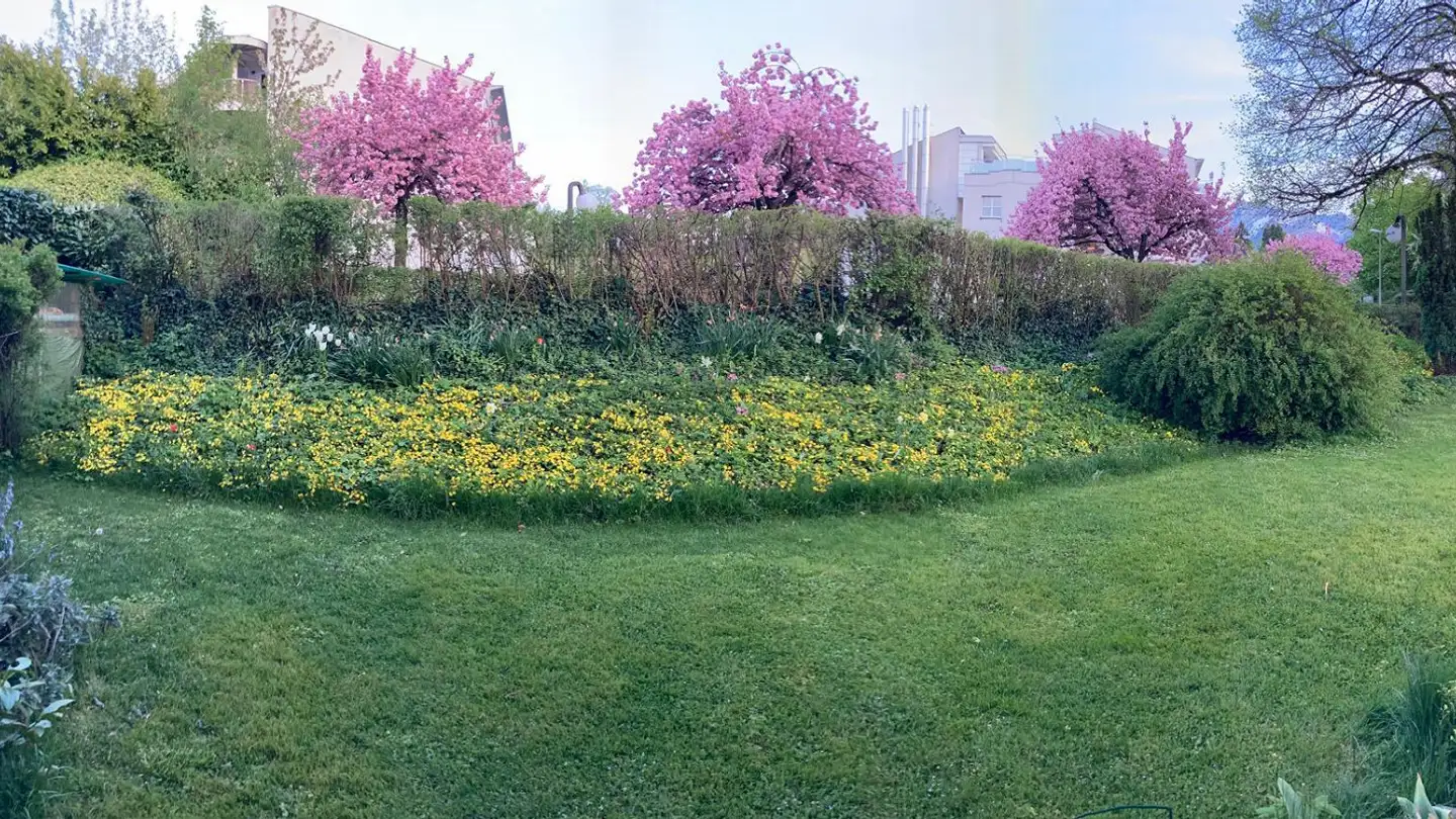 Apartment for rent - Rosenbergstrasse, 6004 Luzern - Photo 3