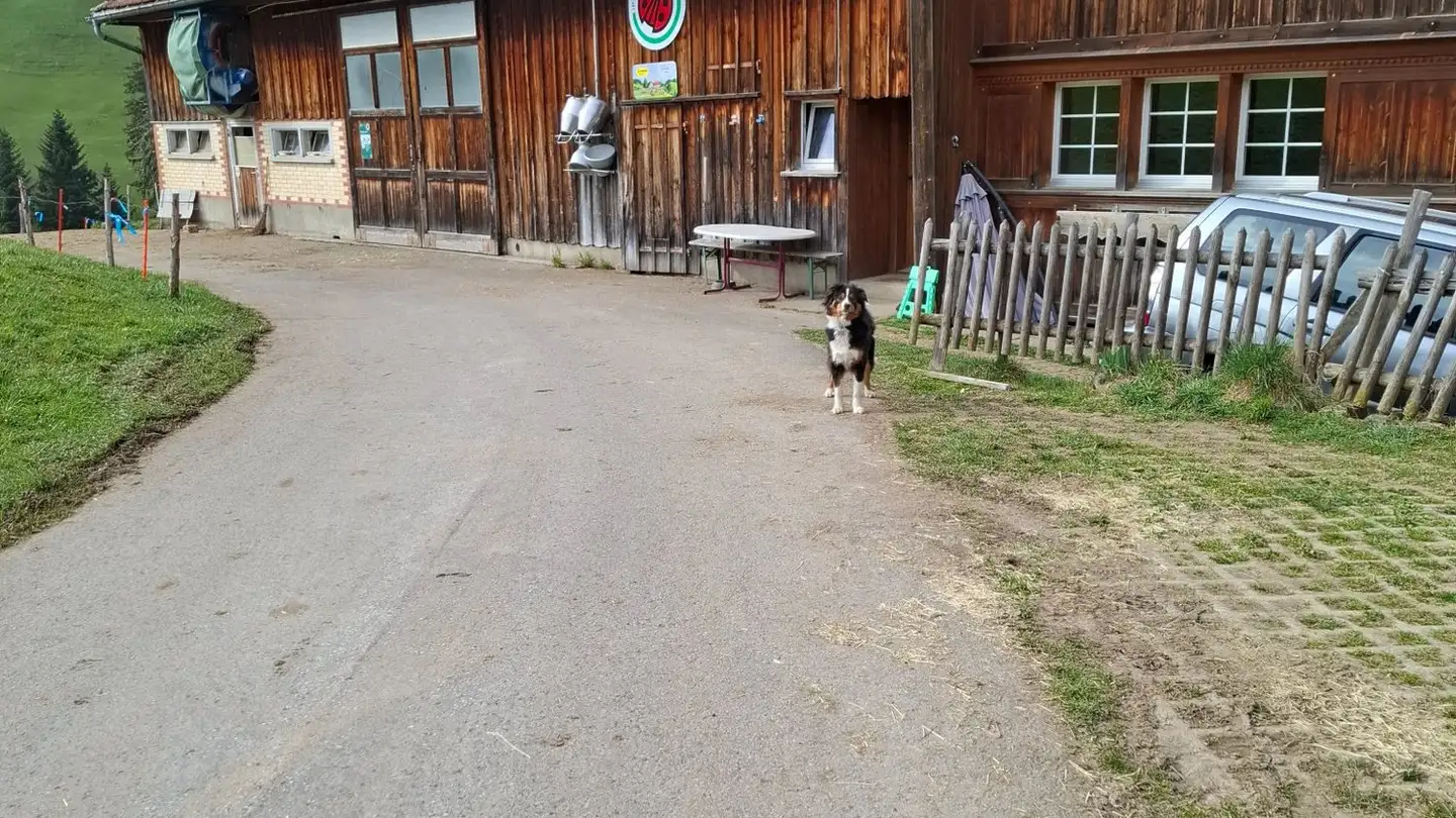 Wohnung mieten - Harz 133, 9103 Schwellbrunn