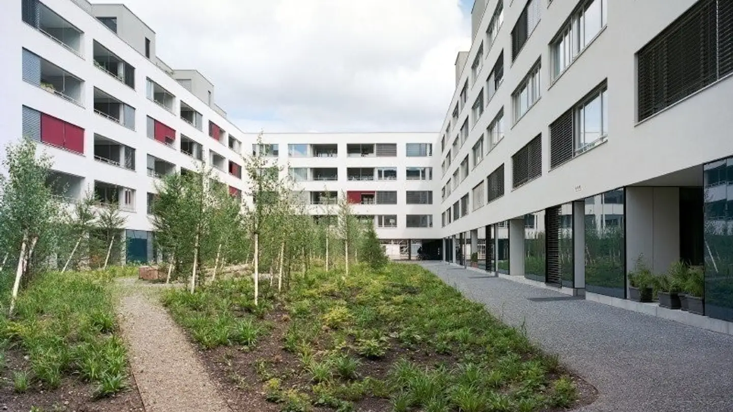 Studio in affitto - Else-Züblin-Strasse 112, 8404 Winterthur