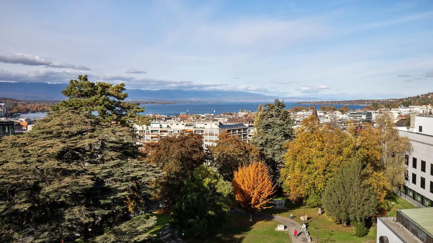 Wohnung mieten - Route De Malagnou 6, 1208 Genève