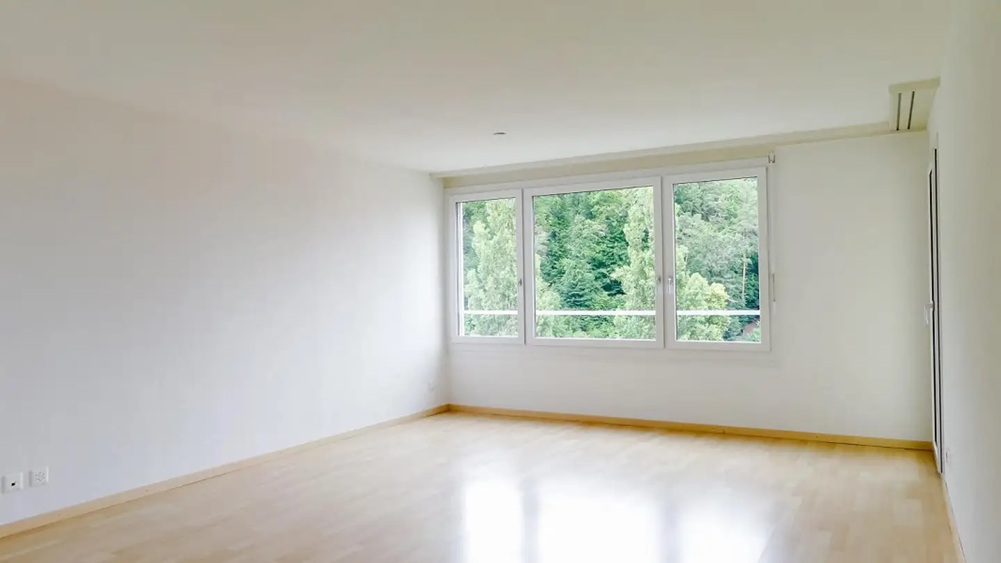 Wohnung mieten - Hauentalstrasse 157, 8200 Schaffhausen - Foto 4