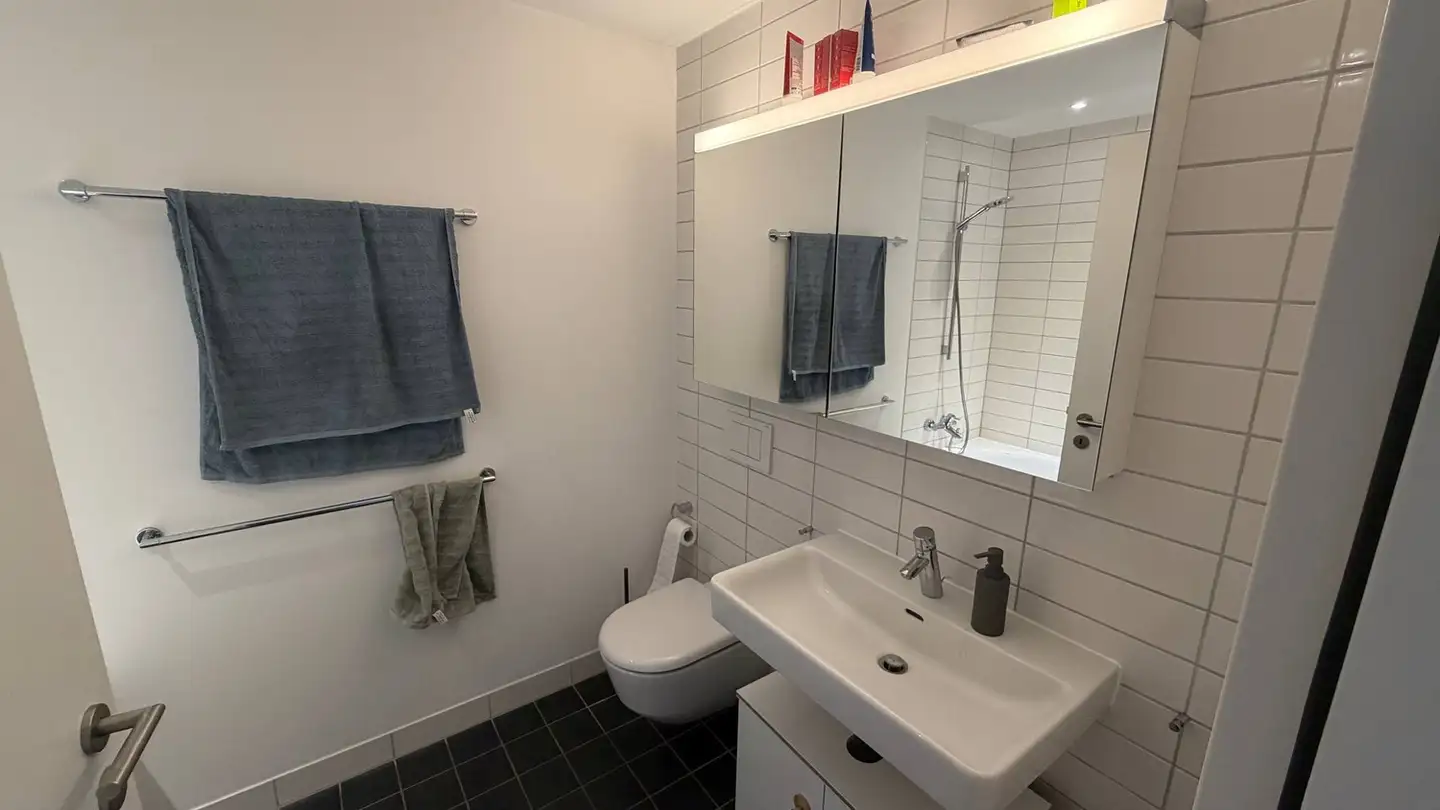 Möblierte Wohnung mieten - Ida-Sträuli-Strasse 47, 8404 Winterthur - Foto 2