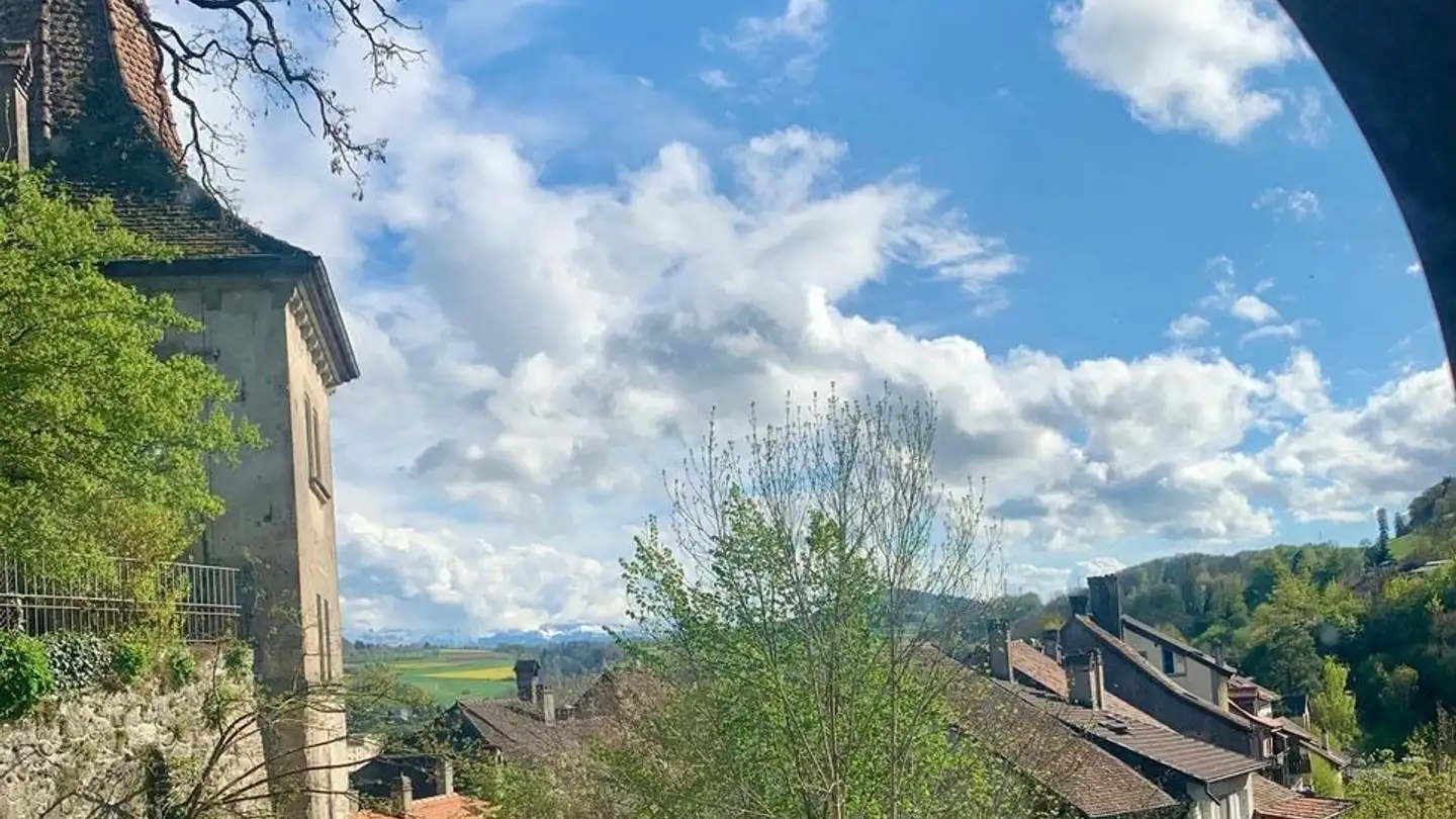 Single house for sale - 1510 Moudon