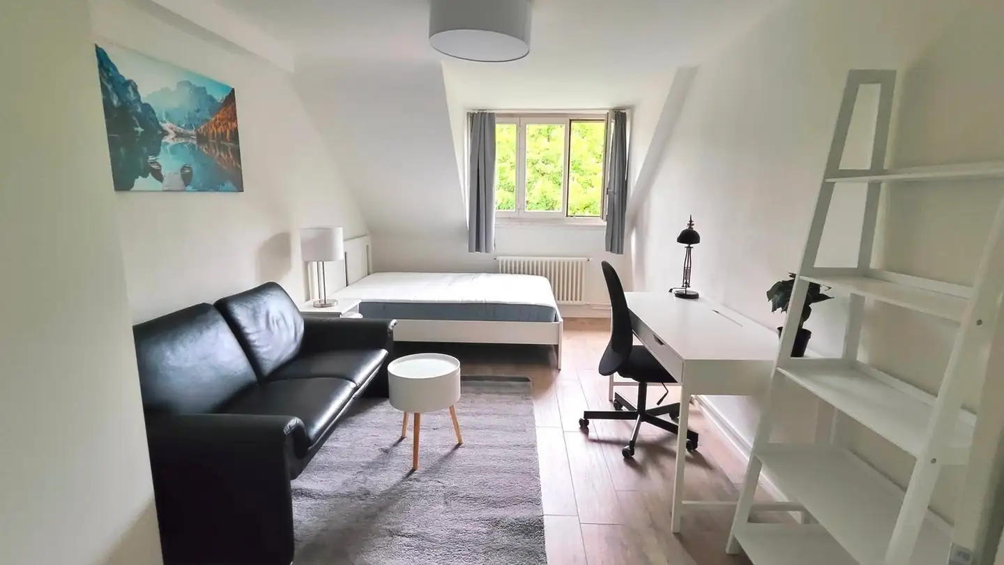 Chambre à louer - Gertrudstrasse 4, 8003 Zürich