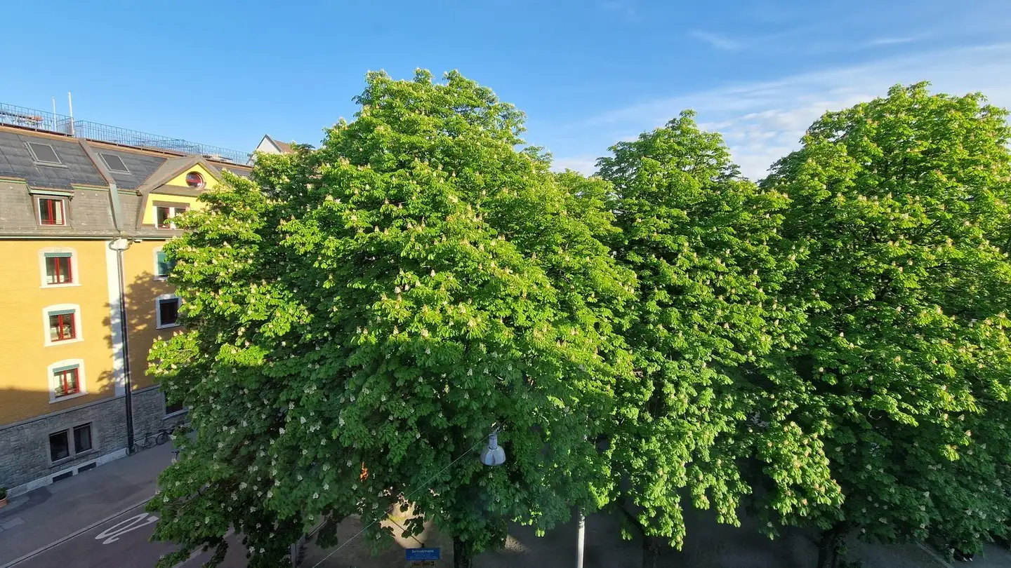 Chambre à louer - Gertrudstrasse 4, 8003 Zürich - Photo 4