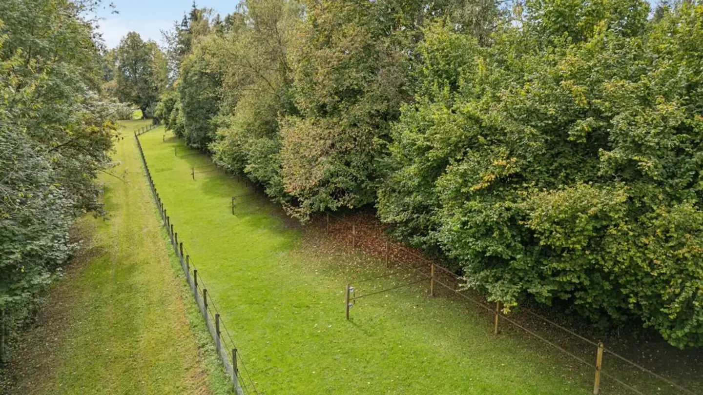 Riding hall for sale - 9545 Wängi - Photo 3