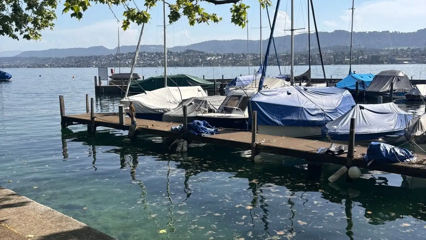 Bürofläche mieten - Bellerivestrasse 36, 8008 Zürich - Foto 2
