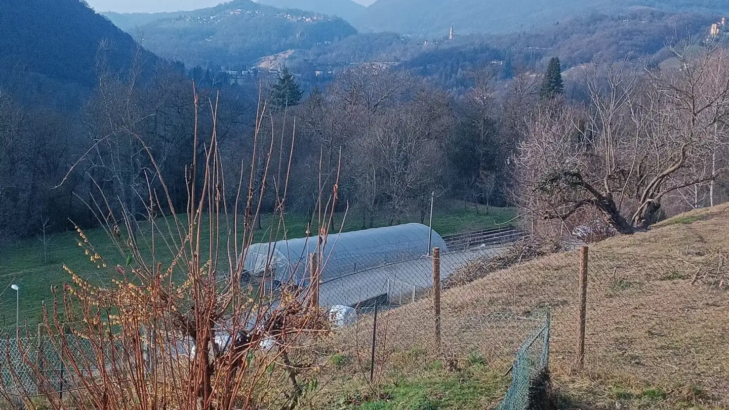Wohnung mieten - Purasca Superiore, 6989 Purasca