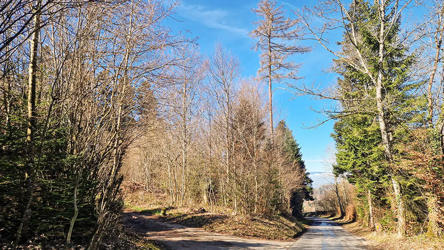 Villa for sale - 1092 Belmont-sur-Lausanne