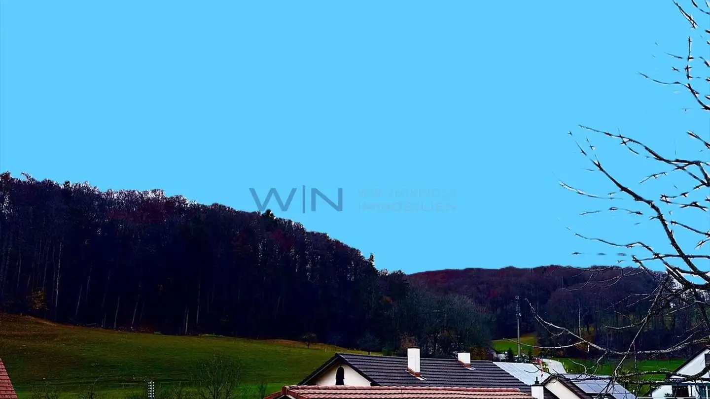 Appartement à vendre - 4146 Hochwald